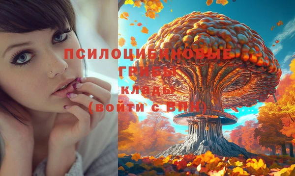 spice Белоозёрский