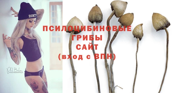 spice Белоозёрский