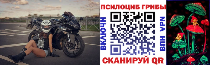 omg зеркало Тобольск Галлюциногенные грибы прущие грибы